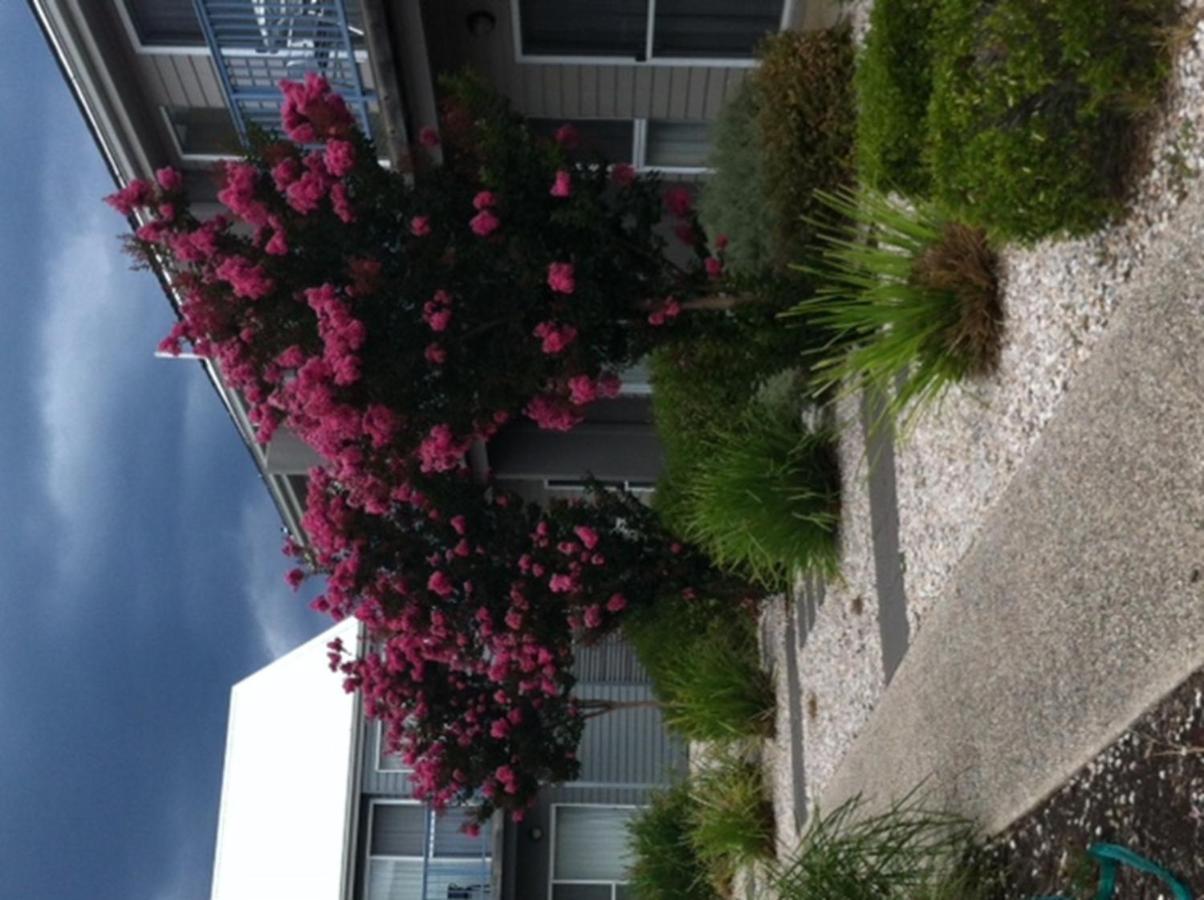 Quest Williamstown North Aparthotel Екстериор снимка